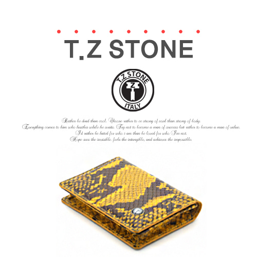 티지스톤-TZ1D229 클래식 뱀피 패턴명함카드지갑(케이스) 옐로우